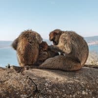 Gibraltar