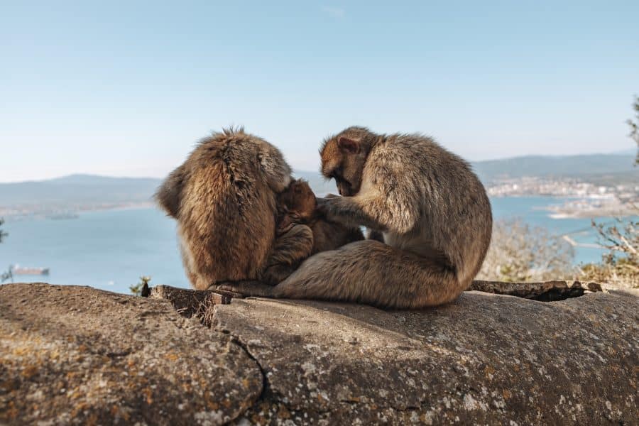 Gibraltar