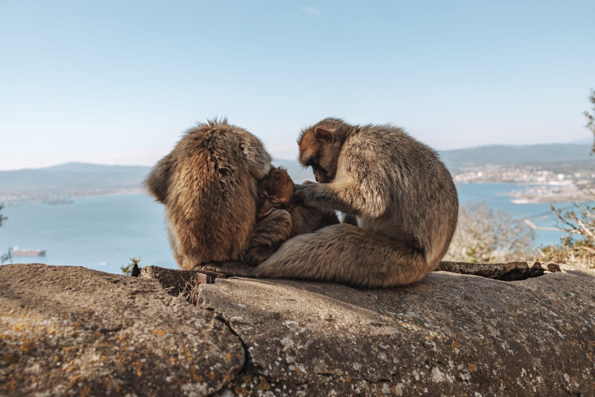 Gibraltar