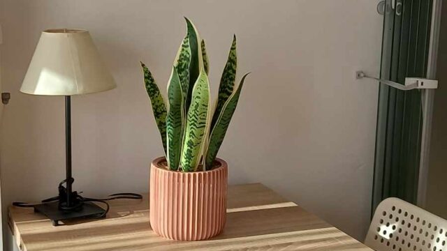 Elutuba1